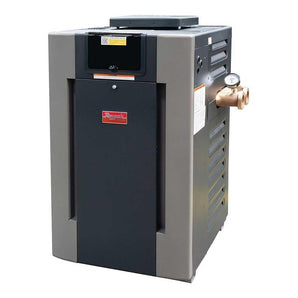 Raypak 266A ASME Digital Natural Gas Pool Heater Bronze Headers Cupronickel BR266AENX 017400