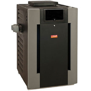 Raypak 206A Digital Natural Gas Pool and Spa Heater Cupronickel 199K BTU PR206AENX 014938