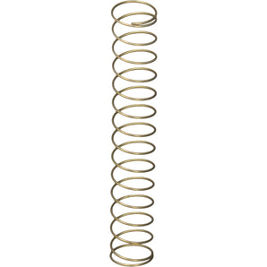 Pentair Spring S/S 1 Lb. 072523