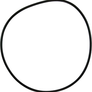 Pentair O-Ring Lid Purex O88 071433