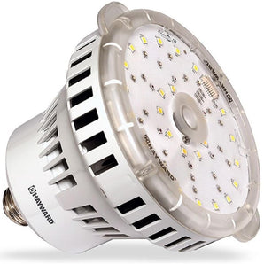 Hayward Colorlogic 120V Led Bulb BPCUS11120