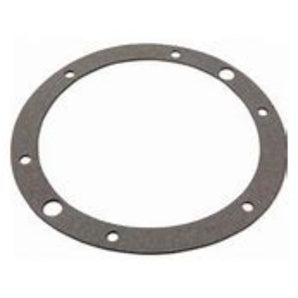 Aladdin Spa Light Sealing Gasket G228 Pentair / American 79204603 G-228