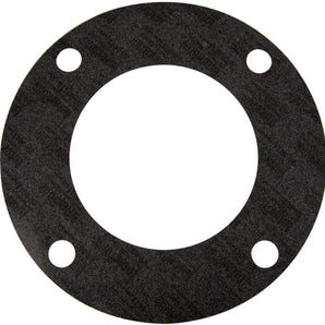 Pentair Gasket Strainer Purex G290 070943