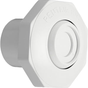 Pentair Directional Outlet White Insider With Snap In Disks 1In Spigot 542000