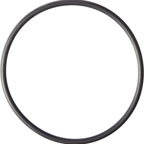 Hayward Strainer Cover O-Ring SPX3200S