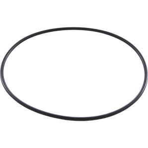 Zodiac W150181 LM3 Cell O-Ring Replacement for LM3 Series Water Sanitizers