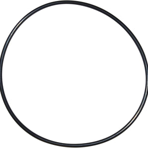 Pentair Sta-Rite Starite Seal Plate Oring O240 U9-228AZ