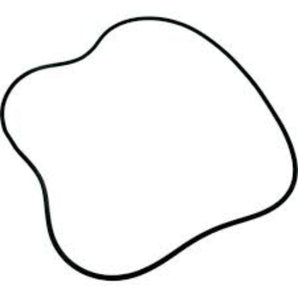 Aladdin 2470072 20In Tank O-Ring Swimquip O101 Jacuzzi Starite / Swimquip O-101