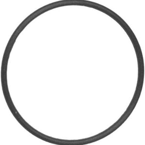 Hayward Pump Lid O-Ring HCXP6014A