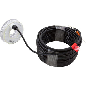 Pentair Led Bubler Replacement Light Engine W/100' Cord Pentair 590046