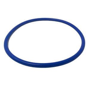 Pentair Lid Oring If3 Pentair 356189Z