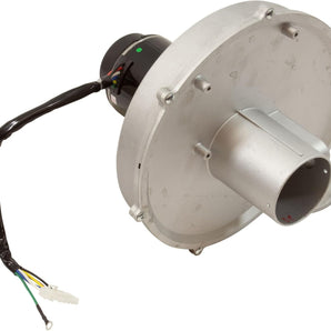 Jandy Blower Assembly R0591100