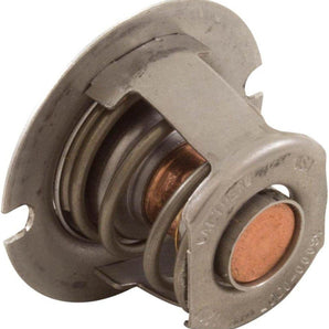 Pentair Thermal Regulator Mastertemp 125 474989