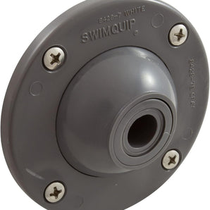 Pentair Sta-Rite 1 1/4 In. Inlet Grey Ball/Face Plate Kit 08428-0001B