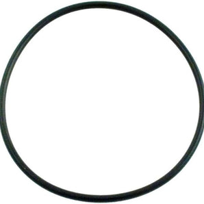 Waterway Swing Valve O-Ring 805-0239B
