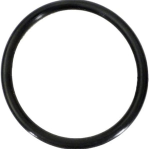 Hayward O-Ring (Union) SPX1483C