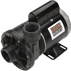 Waterway Iron Might Circ Pump 115V 13A 15In Unions  3410030-1E