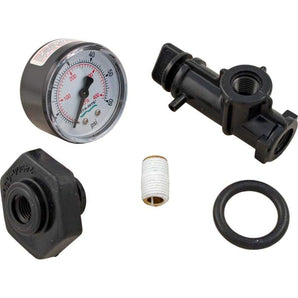Pentair Sta-Rite Valve & Gauge Assembly For S7M &S8M 24850-0105