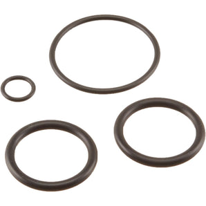 Pentair Pentair Rebuild Kit For Push/Pull Valve 273109