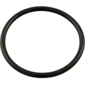 Pentair Lid O-Ring (After 99) 350013Z