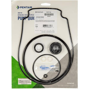 Pentair Seal Kit Whisperflo Intelliflo 356198