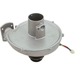 Pentair Kit Combustion Blwr 250Klp Pentair 460744