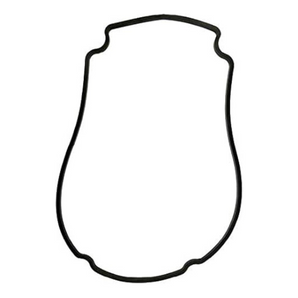 Waterway Plastics 806-1400B Champion Swimming Pool Pump Gasket Same as 806-1400
