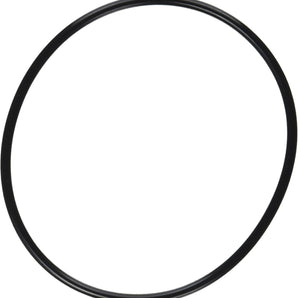 Genuine Pentair Replacement Lid O-Ring for SuperFlo-OptiFlo 357255Z