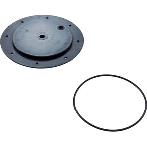 Pentair Laminar Orifice Kit Pentair 590032