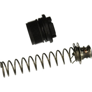 Pentair Sta-Rite Thermal Regulator Kit (In 77707-0010