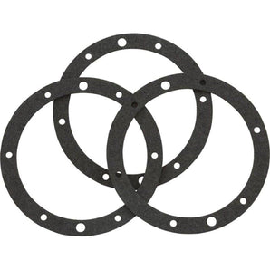 Pentair Gasket Set Small Niche 79204603
