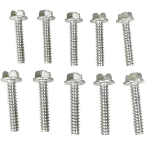 Hayward AX6060Z1 Replacement Screws Type B, 1-1/4" (Set of 10) for Pool Cleaners