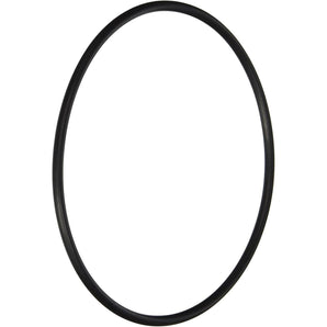 Hayward Leaf Canister O Ring AXW542