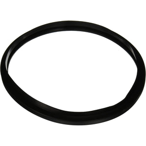 Hayward Star-Clear Filter Dome O-Ring O305 CX250F