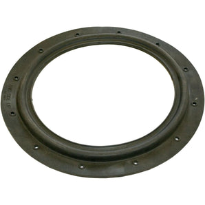 Hayward Diaphragm Gasket Ec50A W/ Holes Old Style Apcg3090 G178 ECX1003