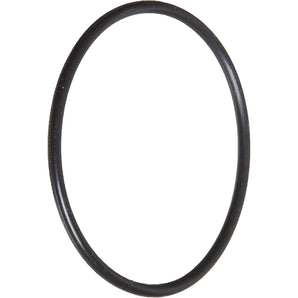 Pentair O-Ring - Small FSO