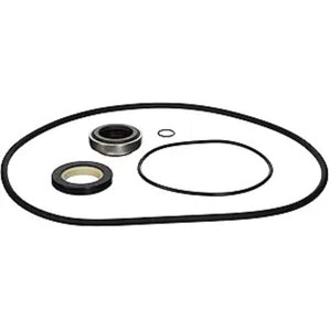 Hayward Seal Set HCXP6004A