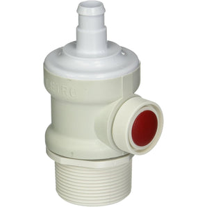Pentair Legend Wall Fitting Complete EW22