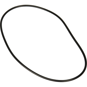 Jandy O-Ring Backplate R0446300