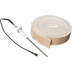 Jandy Flame Sensor R0458600