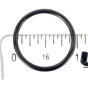 Polaris O-Ring 21 X 2Mm Kit Polaris 9300/9300Xi R0544100