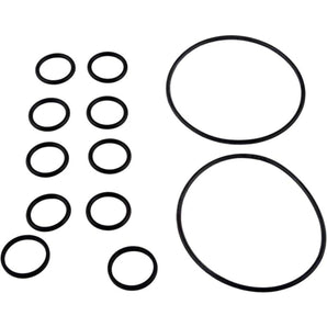 Jandy O-Ring Kit R0552400