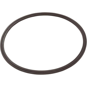 Jandy Seal Oring For Clc500 Zodiac R0623300