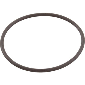 Jandy Outlet Tube Filter O-Ring Dev Filter R0792000
