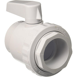 Hayward 2In Trimline Deluxe Ball Valve Sxs SP0724S