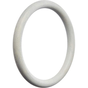 Hayward Piston O-Ring Small O26 SPX0410Z1