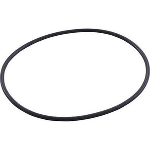 Hayward Housing O-Ring SPX0710XZ5