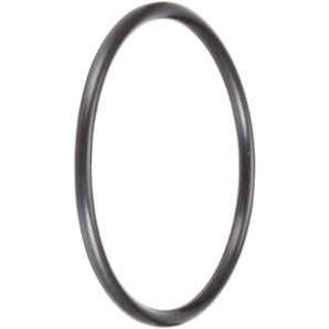 Hayward O-Ring Floor Inlet Or Union O49 Apco2314 SPX1425Z6