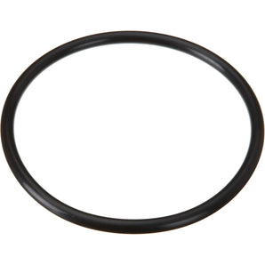 Hayward Strainer Cover O-Ring SPX2300Z4
