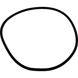 Pentair Sta-Rite Seal Plate O-Ring Starite O469 U9-373Z